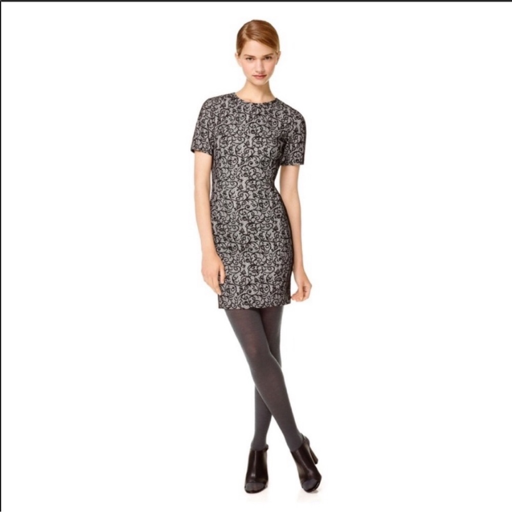 Wilfred Aritizia lace look dress